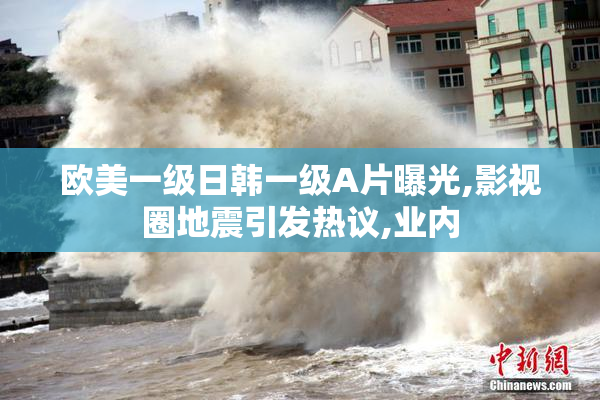 欧美一级日韩一级A片曝光,影视圈地震引发热议,业内
