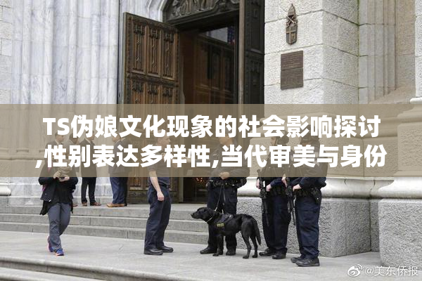 TS伪娘文化现象的社会影响探讨,性别表达多样性,当代审美与身份