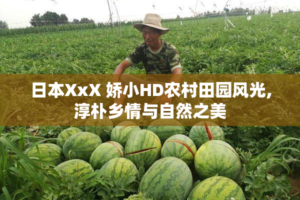 日本XxX 娇小HD农村田园风光,淳朴乡情与自然之美