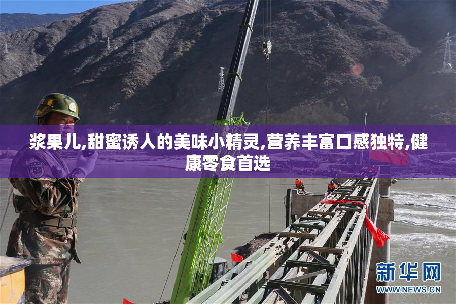 浆果儿,甜蜜诱人的美味小精灵,营养丰富口感独特,健康零食首选