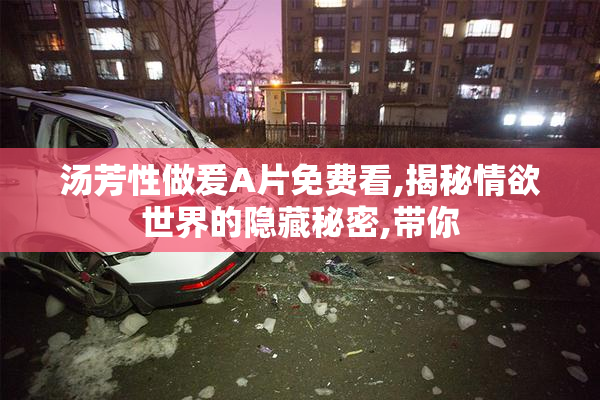 汤芳性做爰A片免费看,揭秘情欲世界的隐藏秘密,带你
