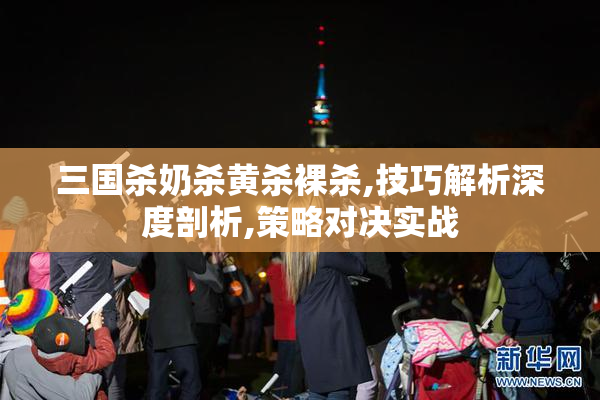 三国杀奶杀黄杀裸杀,技巧解析深度剖析,策略对决实战