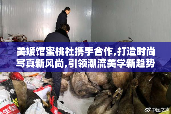美媛馆蜜桃社携手合作,打造时尚写真新风尚,引领潮流美学新趋势