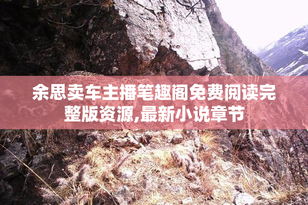 余思卖车主播笔趣阁免费阅读完整版资源,最新小说章节