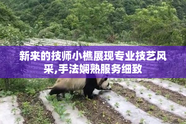 新来的技师小樵展现专业技艺风采,手法娴熟服务细致