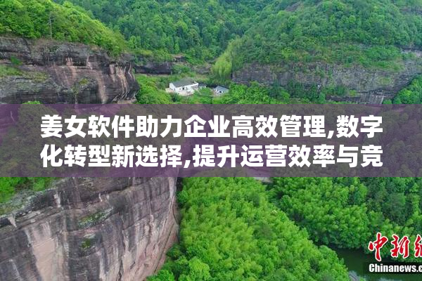姜女软件助力企业高效管理,数字化转型新选择,提升运营效率与竞争力