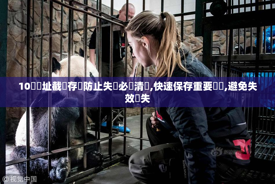 10個網址截圖存檔防止失聯必備清單,快速保存重要連結,避免失效遺失