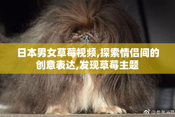 日本男女草莓视频,探索情侣间的创意表达,发现草莓主题