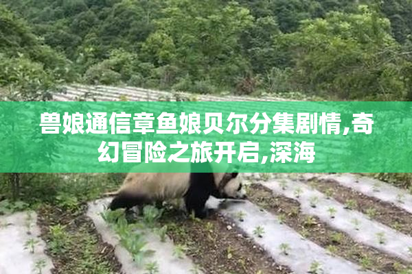 兽娘通信章鱼娘贝尔分集剧情,奇幻冒险之旅开启,深海