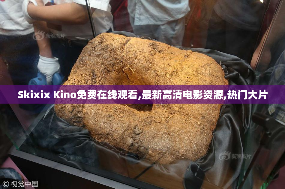 Skixix Kino免费在线观看,最新高清电影资源,热门大片