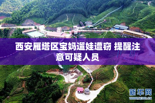 西安雁塔区宝妈遛娃遭窃 提醒注意可疑人员