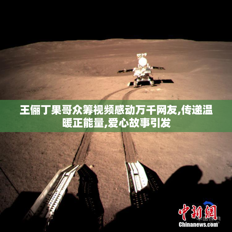王俪丁果哥众筹视频感动万千网友,传递温暖正能量,爱心故事引发
