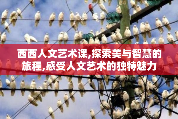西西人文艺术课,探索美与智慧的旅程,感受人文艺术的独特魅力