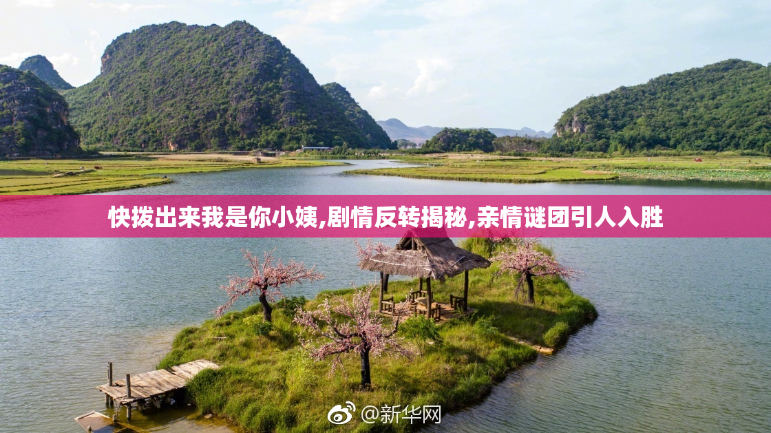 快拨出来我是你小姨,剧情反转揭秘,亲情谜团引人入胜