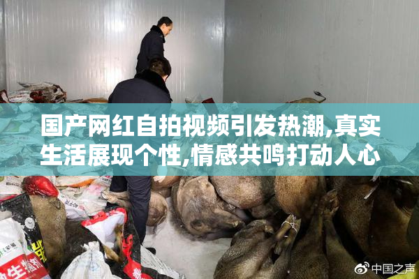 国产网红自拍视频引发热潮,真实生活展现个性,情感共鸣打动人心