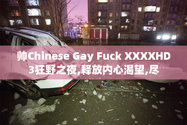 帅Chinese Gay Fuck XXXXHD3狂野之夜,释放内心渴望,尽