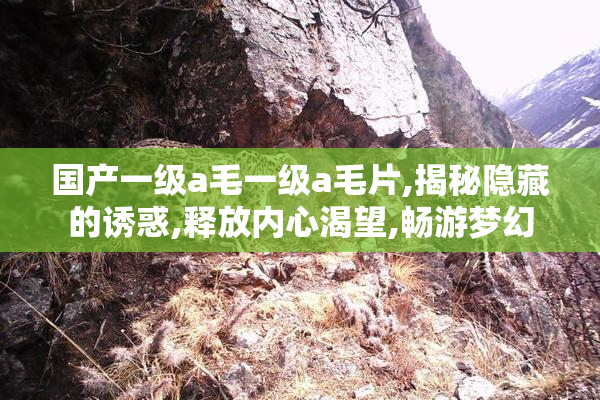 国产一级a毛一级a毛片,揭秘隐藏的诱惑,释放内心渴望,畅游梦幻