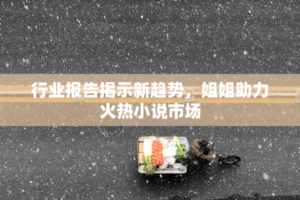 行业报告揭示新趋势，姐姐助力火热小说市场