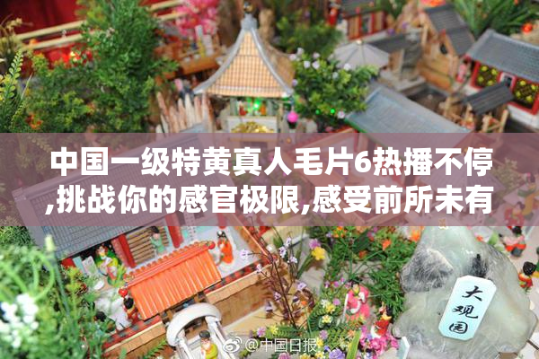 中国一级特黄真人毛片6热播不停,挑战你的感官极限,感受前所未有