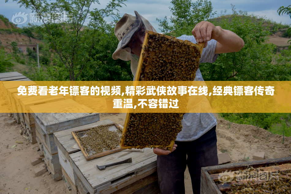 免费看老年镖客的视频,精彩武侠故事在线,经典镖客传奇重温,不容错过