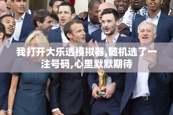 我打开大乐透模拟器,随机选了一注号码,心里默默期待