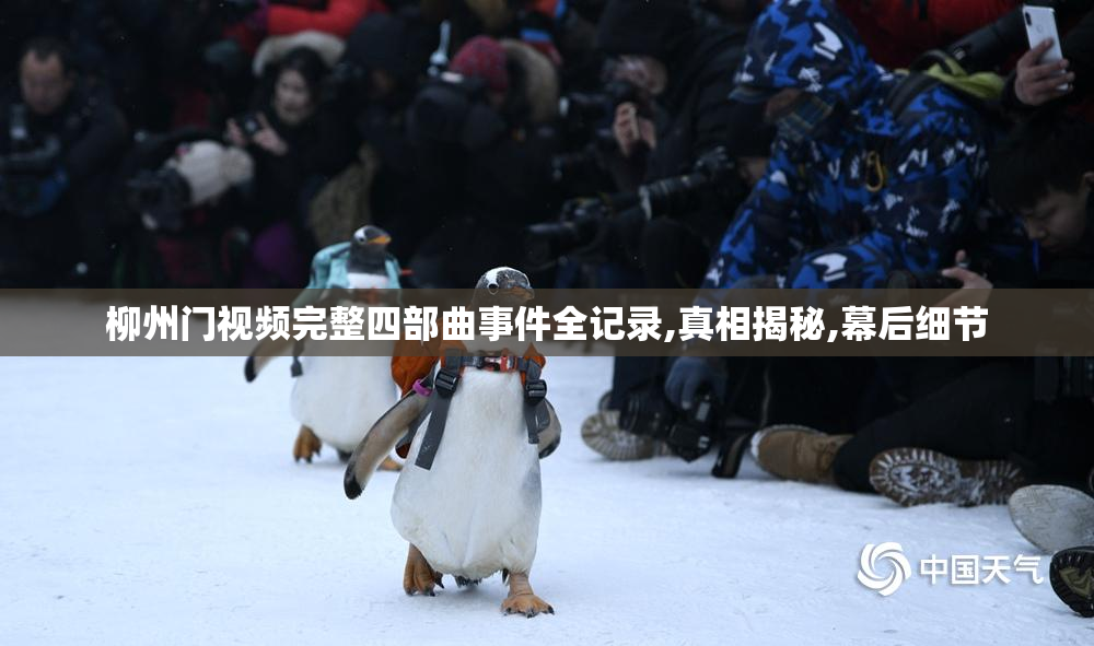 柳州门视频完整四部曲事件全记录,真相揭秘,幕后细节