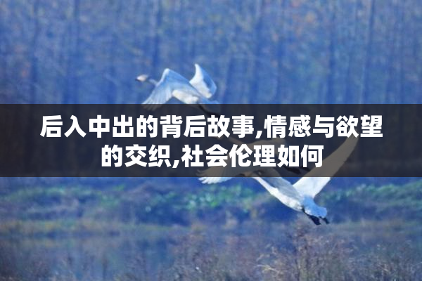 后入中出的背后故事,情感与欲望的交织,社会伦理如何