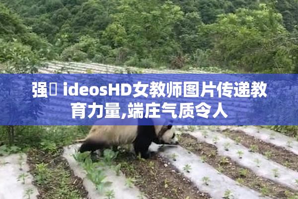 强弙 ideosHD女教师图片传递教育力量,端庄气质令人