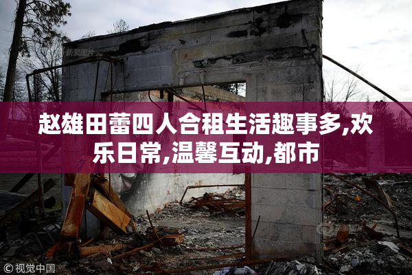 赵雄田蕾四人合租生活趣事多,欢乐日常,温馨互动,都市