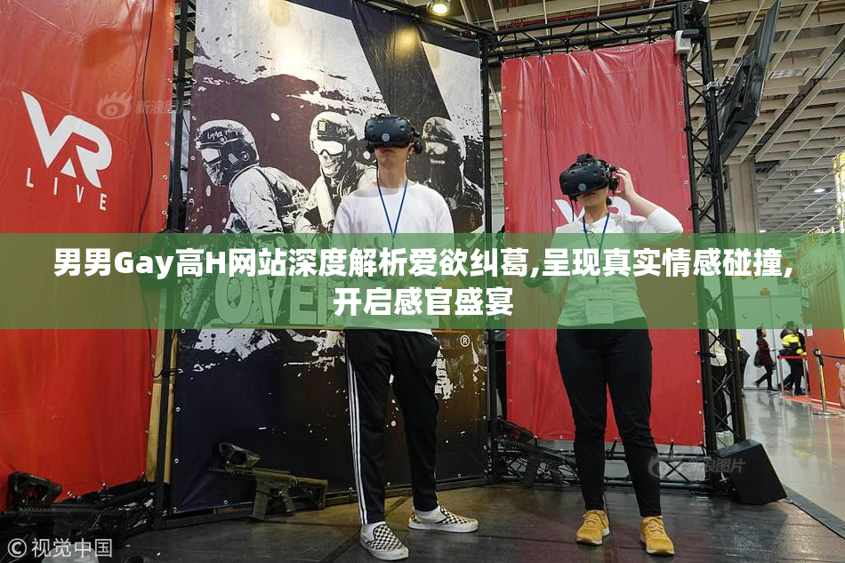 男男Gay高H网站深度解析爱欲纠葛,呈现真实情感碰撞,开启感官盛宴