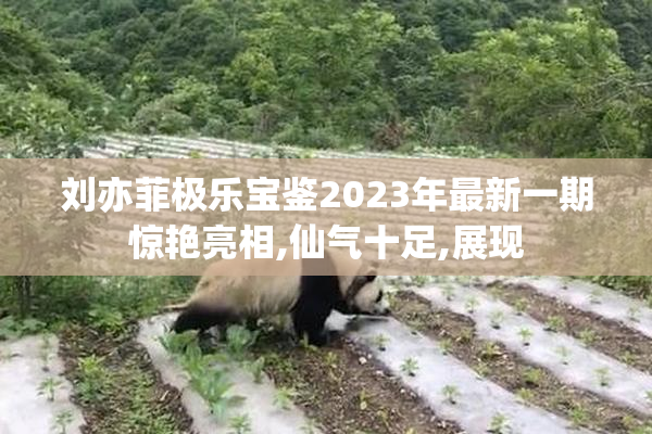 刘亦菲极乐宝鉴2023年最新一期惊艳亮相,仙气十足,展现