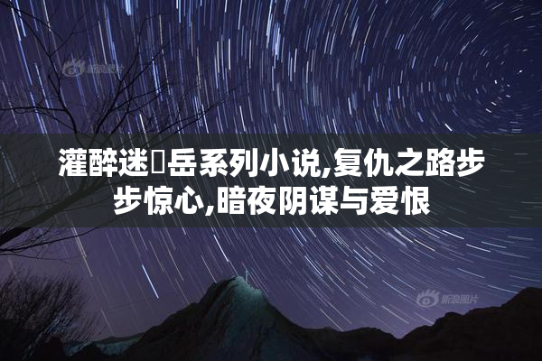 灌醉迷奷岳系列小说,复仇之路步步惊心,暗夜阴谋与爱恨