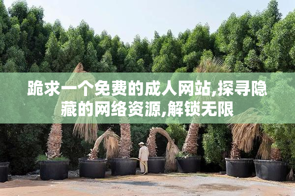 跪求一个免费的成人网站,探寻隐藏的网络资源,解锁无限