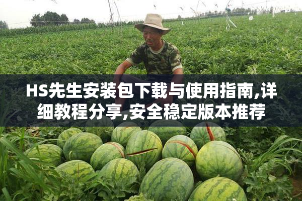 HS先生安装包下载与使用指南,详细教程分享,安全稳定版本推荐