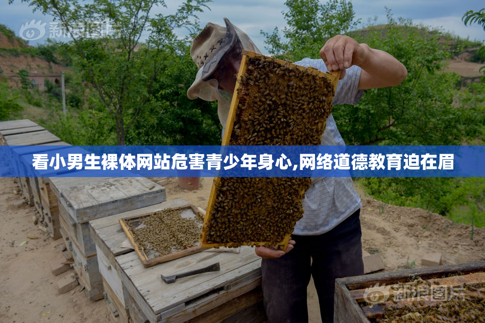 看小男生裸体网站危害青少年身心,网络道德教育迫在眉