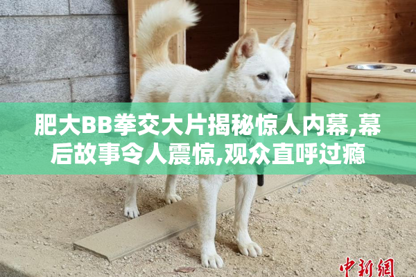 肥大BB拳交大片揭秘惊人内幕,幕后故事令人震惊,观众直呼过瘾