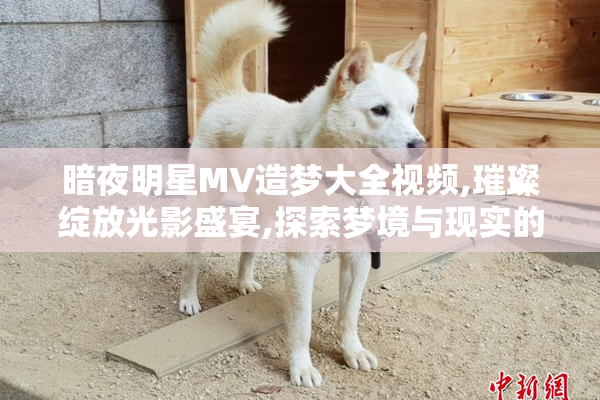 暗夜明星MV造梦大全视频,璀璨绽放光影盛宴,探索梦境与现实的奇幻