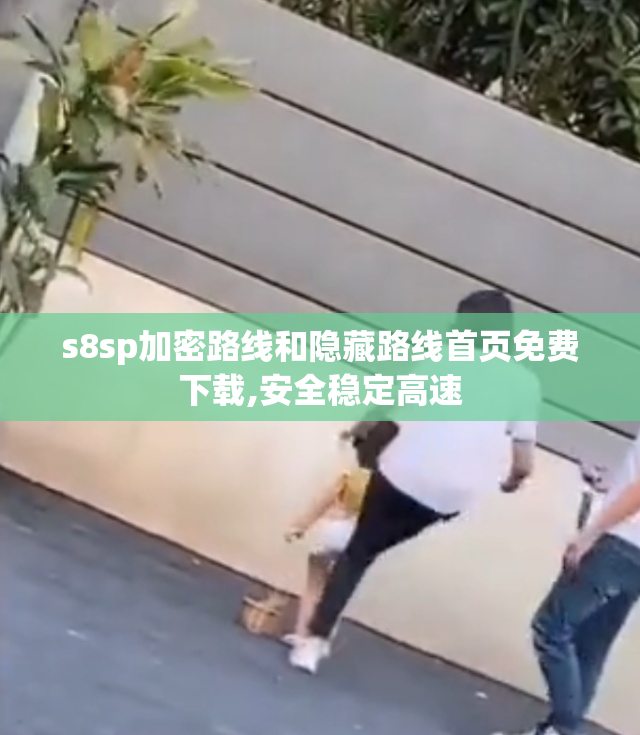 s8sp加密路线和隐藏路线首页免费下载,安全稳定高速