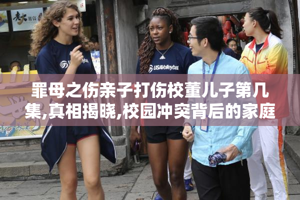 罪母之伤亲子打伤校董儿子第几集,真相揭晓,校园冲突背后的家庭纠葛