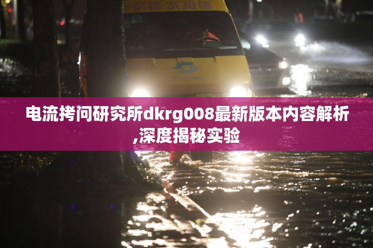电流拷问研究所dkrg008最新版本内容解析,深度揭秘实验