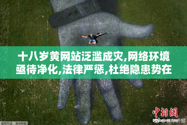 十八岁黄网站泛滥成灾,网络环境亟待净化,法律严惩,杜绝隐患势在必