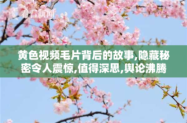 黄色视频毛片背后的故事,隐藏秘密令人震惊,值得深思,舆论沸腾