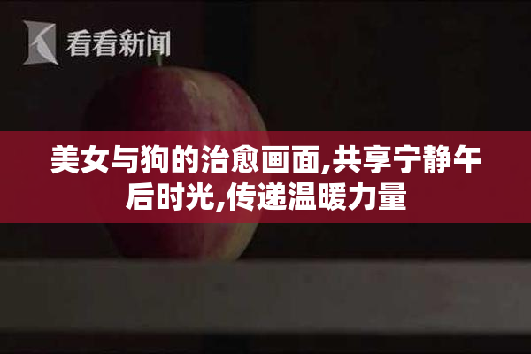 美女与狗的治愈画面,共享宁静午后时光,传递温暖力量