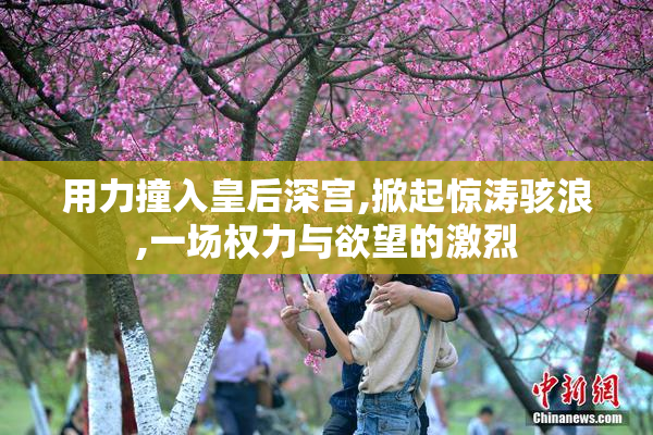 用力撞入皇后深宫,掀起惊涛骇浪,一场权力与欲望的激烈