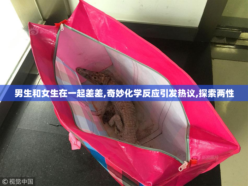 男生和女生在一起差差,奇妙化学反应引发热议,探索两性