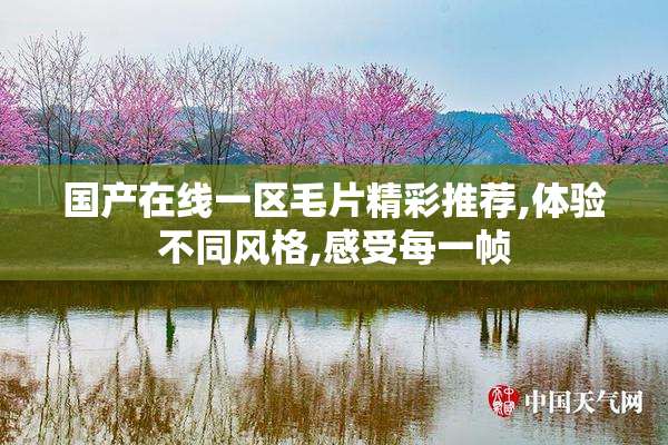 国产在线一区毛片精彩推荐,体验不同风格,感受每一帧