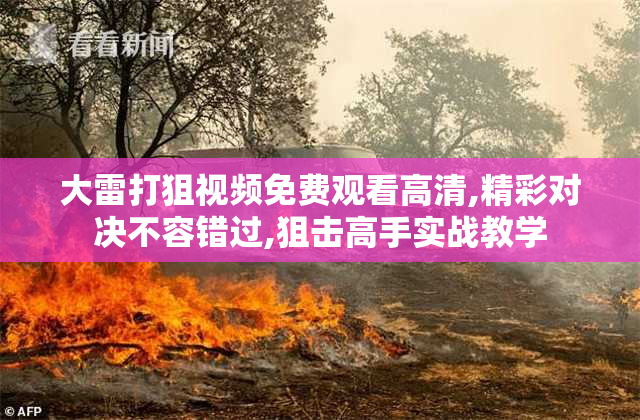 大雷打狙视频免费观看高清,精彩对决不容错过,狙击高手实战教学