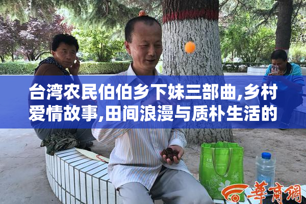 台湾农民伯伯乡下妹三部曲,乡村爱情故事,田间浪漫与质朴生活的
