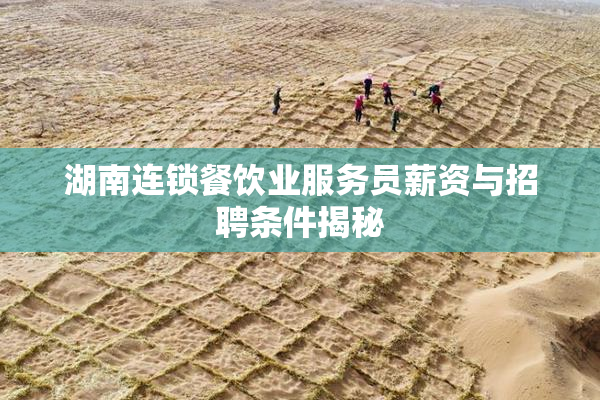 湖南连锁餐饮业服务员薪资与招聘条件揭秘