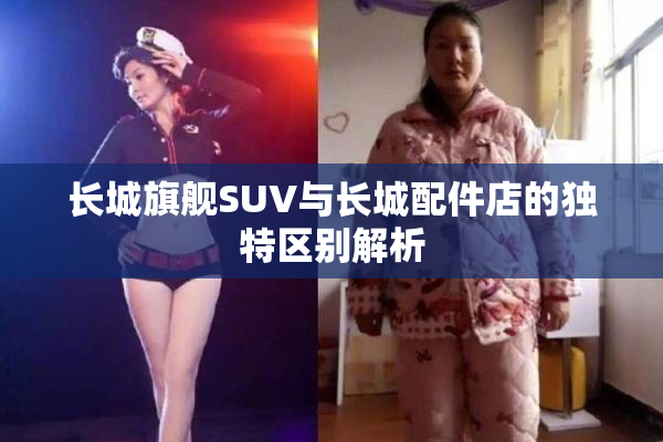 长城旗舰SUV与长城配件店的独特区别解析